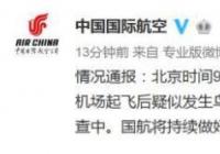 国航客机引擎起火 疑似发生鸟击 故障具体原因正在排查中 国航客机引擎起火 疑似发生鸟击 故障具体原因正在排查中