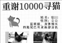杭州女子奖万元寻猫 找到后却不兑现还伪造转账图