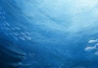 海平面上升或致美国6000万厕所无法冲水 是什么原因导致的? 海平面上升或致美国6000万厕所无法冲水 是什么原因导致的?