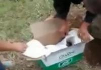 荒地里居然挖出活婴 家属以为孩子死了就埋了 荒地里居然挖出活婴 家属以为孩子死了就埋了