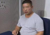 男子带活蛇坐高铁 10条成年蛇被说成是食用菌 男子带活蛇坐高铁 10条成年蛇被说成是食用菌