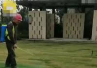为交房草坪喷染色剂 装修管家称是暂时过渡 为交房草坪喷染色剂 装修管家称是暂时过渡