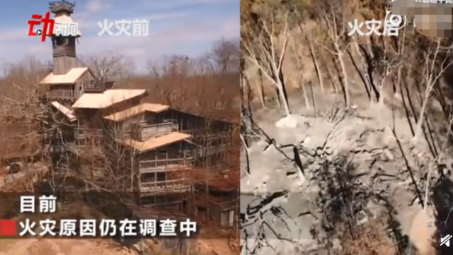 世界最大树屋被烧 15分钟内烧成了一堆灰烬