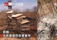 高达97英尺！世界最大树屋被烧 设计师抑郁了