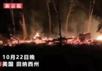 世界最大树屋被烧 原来长什么样子？多大？住一晚多少钱