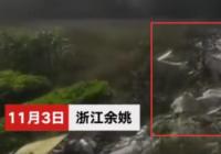 中学遭垃圾围校 不少孩子因臭味流鼻血 中学遭垃圾围校 不少孩子因臭味流鼻血