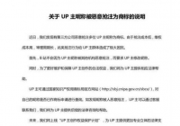 b站回应恶意抢注:将帮助UP主维护合法权益