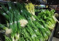 北京多种蔬菜价格降幅达五成 预计本月中旬蔬菜恢复供需平衡 北京多种蔬菜价格降幅达五成 预计本月中旬蔬菜恢复供需平衡