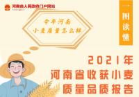 今年河南小麦质量怎么样?报告指出新收获的小麦整体质量较好 今年河南小麦质量怎么样?报告指出新收获的小麦整体质量较好