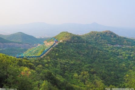 從“靠山吃山”到“綠色發展” 杭州最西部的小鎮迎來“快車道”