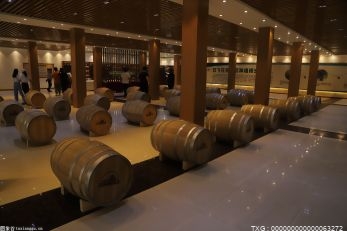 走进贺兰山东麓国际葡萄酒博物馆 探秘神奇的酿酒陶罐