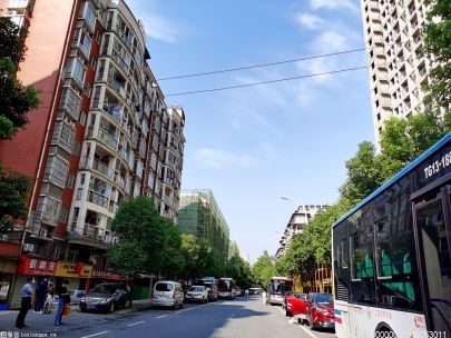 公交车换上“亚运装”穿梭于城市各个角落 杭城亚运氛围越来越浓