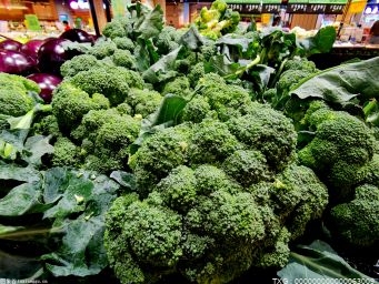 南环桥市场“菜篮子”货源充足 蔬菜到货量连续多日创新高