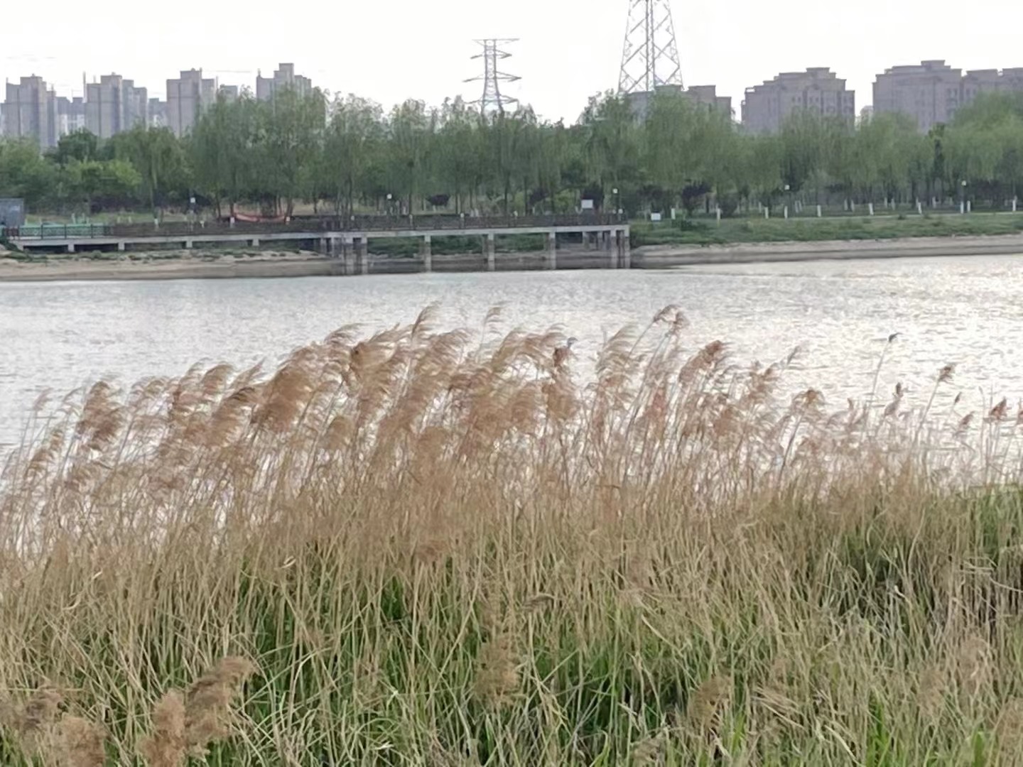 京杭大运河2022年全线贯通补水计划5.15亿立方米