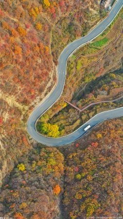 杭州這四條公路入選浙江省首批“十大最美農村路”名單