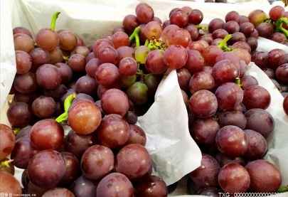 夏黑是葡萄还是提子？夏黑和巨峰葡萄哪个好吃？