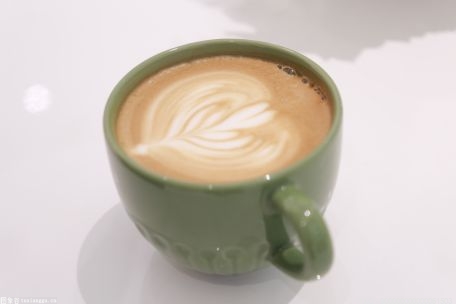 咖啡机哪个品牌好？咖啡机常见的几种分类是什么？