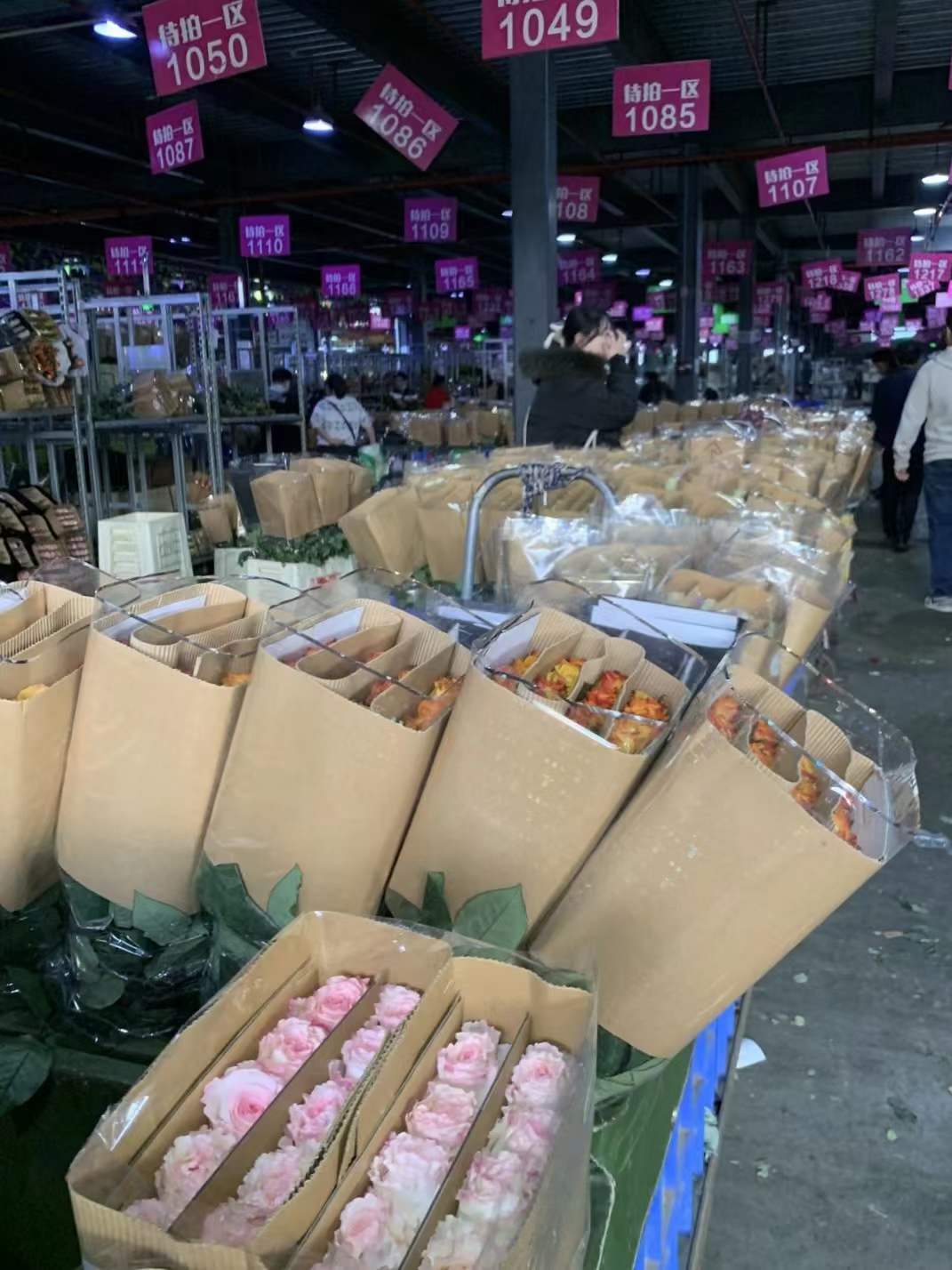 寓意“幸福來臨”的蝴蝶蘭成為杭城花卉市場上的搶手貨