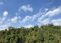 烟花怎么画更好看？小学生烟花怎么画简单？