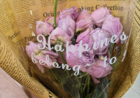 粉色玫瑰花代表什么意思?粉色玫瑰花花语是什么? 粉色玫瑰花代表什么意思?粉色玫瑰花花语是什么?