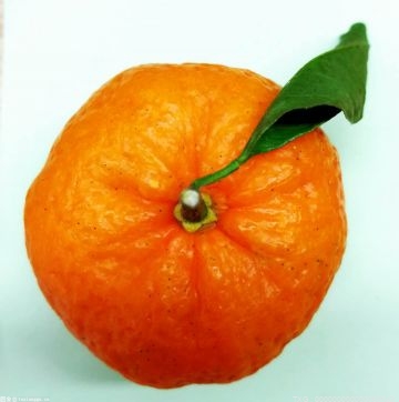 冰糖橙是热性还是凉性？橙子是酸性还是碱性物？